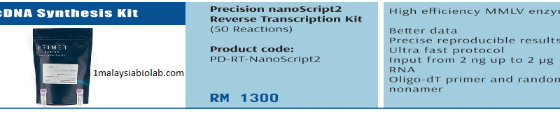 Precision nanoScript2 Reverse Transcription Kit, Primer Design