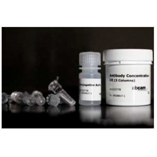 Abcam Protein and Peptide