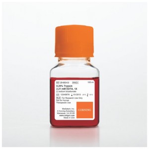 Trypsin