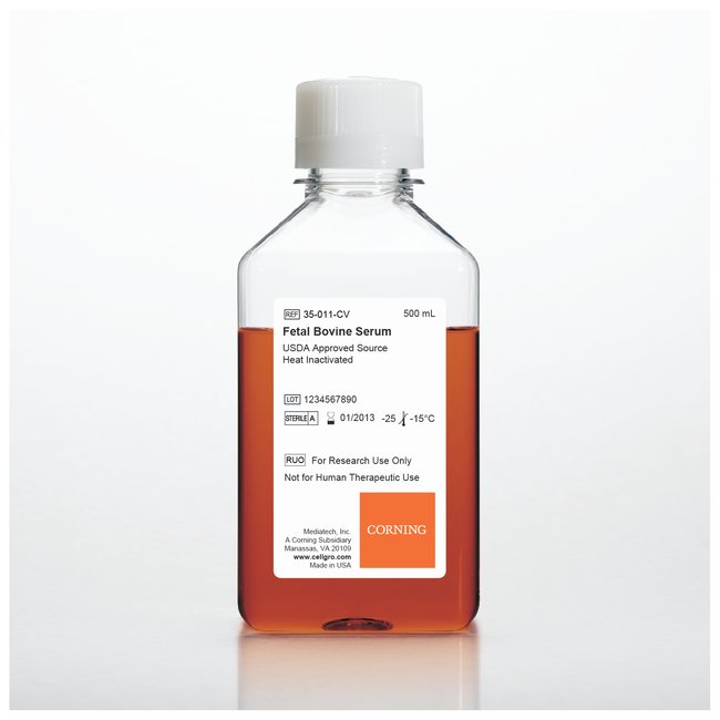 Fetal Bovine Serum (FBS)